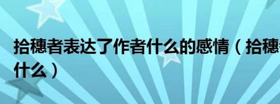 拾穗者表达了作者什么的感情（拾穗者表达了什么）