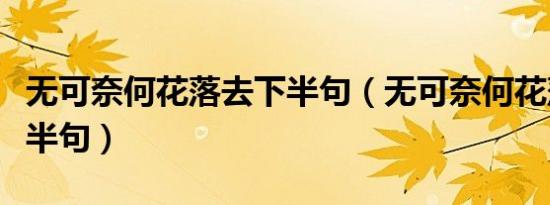 无可奈何花落去下半句（无可奈何花落去的下半句）