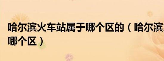 哈尔滨火车站属于哪个区的（哈尔滨火车站是哪个区）