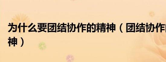 为什么要团结协作的精神（团结协作的什么精神）