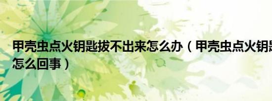 甲壳虫点火钥匙拔不出来怎么办（甲壳虫点火钥匙拧不动是怎么回事）