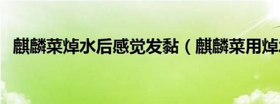 麒麟菜焯水后感觉发黏（麒麟菜用焯水吗）