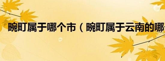 畹町属于哪个市（畹町属于云南的哪个市）