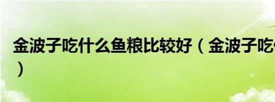 金波子吃什么鱼粮比较好（金波子吃什么鱼食）