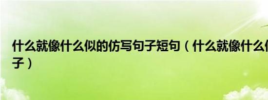 什么就像什么似的仿写句子短句（什么就像什么似的仿写句子）