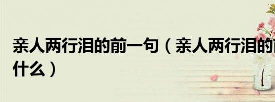 亲人两行泪的前一句（亲人两行泪的前两句是什么）