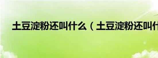 土豆淀粉还叫什么（土豆淀粉还叫什么）