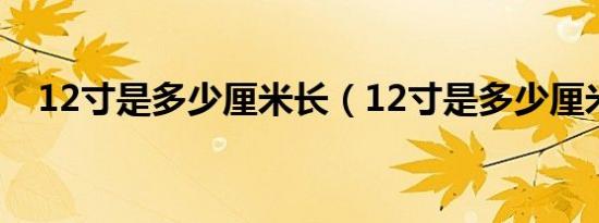 12寸是多少厘米长（12寸是多少厘米长）