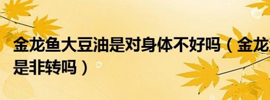 金龙鱼大豆油是对身体不好吗（金龙鱼大豆油是非转吗）