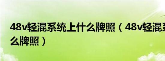 48v轻混系统上什么牌照（48v轻混系统上什么牌照）