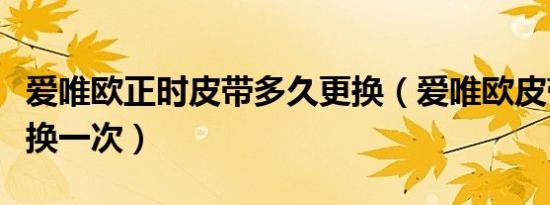 爱唯欧正时皮带多久更换（爱唯欧皮带多久更换一次）