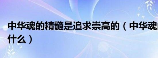 中华魂的精髓是追求崇高的（中华魂的精髓是什么）