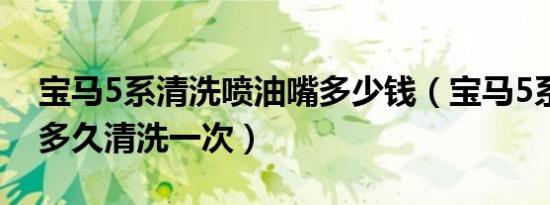 宝马5系清洗喷油嘴多少钱（宝马5系喷油嘴多久清洗一次）
