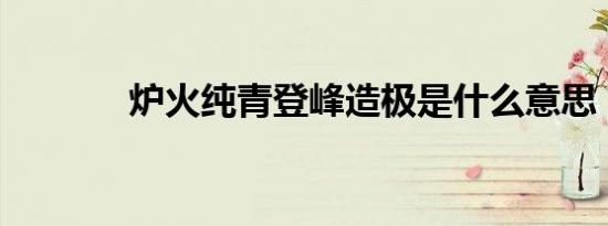 炉火纯青登峰造极是什么意思