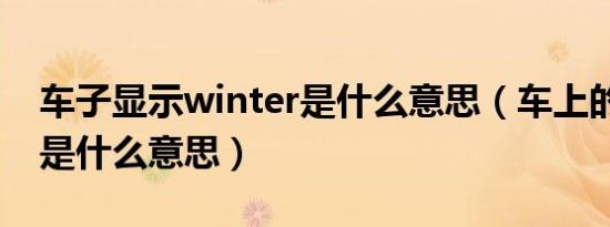 车子显示winter是什么意思（车上的winter是什么意思）