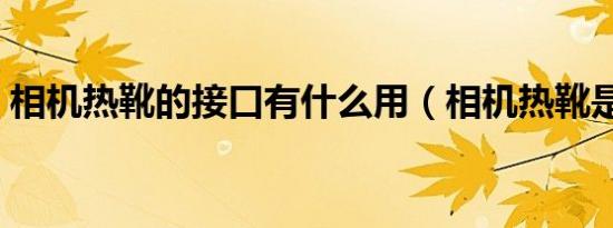 相机热靴的接口有什么用（相机热靴是什么）
