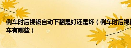 倒车时后视镜自动下翻是好还是坏（倒车时后视镜往下翻的车有哪些）