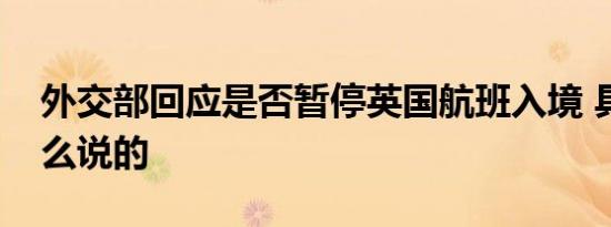 外交部回应是否暂停英国航班入境 具体是怎么说的