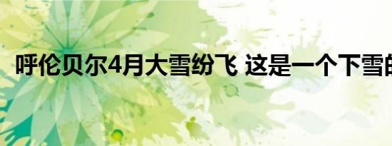 呼伦贝尔4月大雪纷飞 这是一个下雪的春天