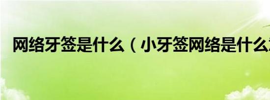 网络牙签是什么（小牙签网络是什么意思）