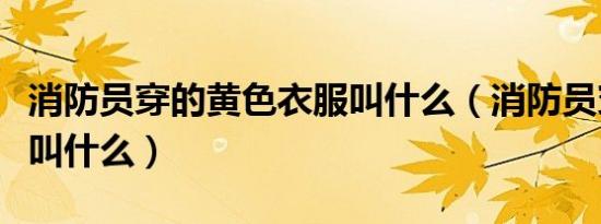 消防员穿的黄色衣服叫什么（消防员穿的衣服叫什么）