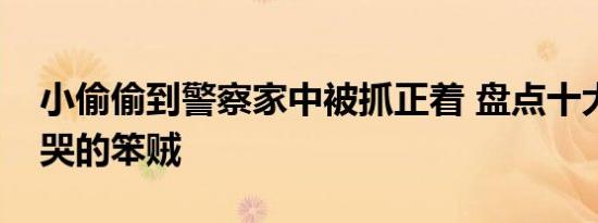 小偷偷到警察家中被抓正着 盘点十大把人蠢哭的笨贼