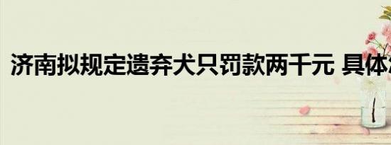 济南拟规定遗弃犬只罚款两千元 具体怎样的