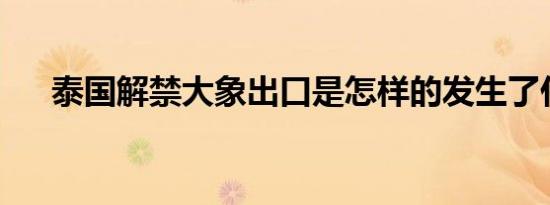 泰国解禁大象出口是怎样的发生了什么
