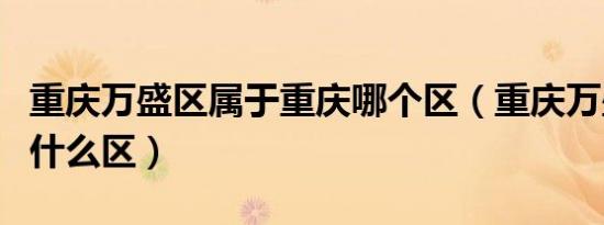 重庆万盛区属于重庆哪个区（重庆万盛区又叫什么区）