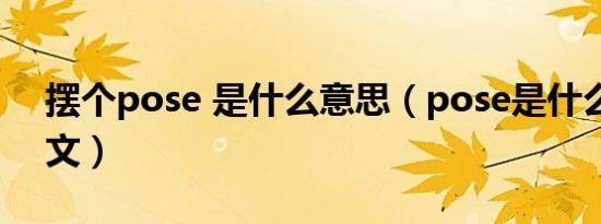 摆个pose 是什么意思（pose是什么意思中文）