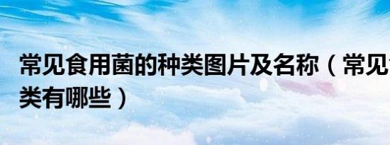 常见食用菌的种类图片及名称（常见食用菌种类有哪些）