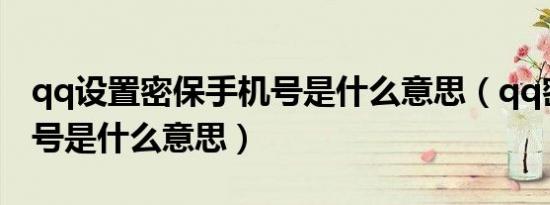 qq设置密保手机号是什么意思（qq密保手机号是什么意思）