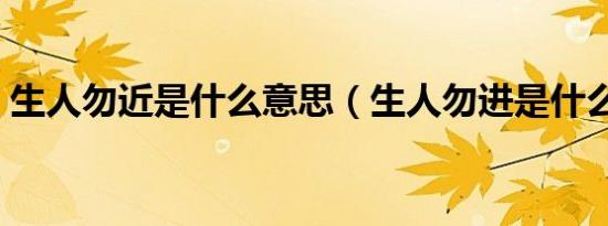生人勿近是什么意思（生人勿进是什么意思）