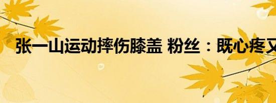 张一山运动摔伤膝盖 粉丝：既心疼又想笑