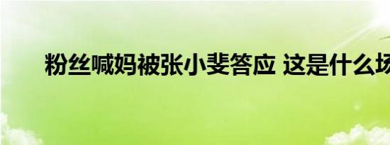 粉丝喊妈被张小斐答应 这是什么场面