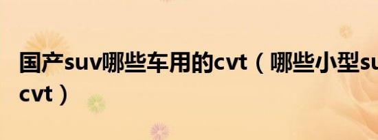 国产suv哪些车用的cvt（哪些小型suv用的是cvt）