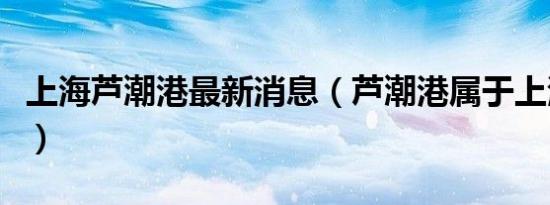 上海芦潮港最新消息（芦潮港属于上海哪个区）