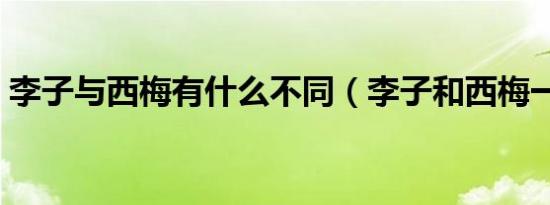 李子与西梅有什么不同（李子和西梅一样吗）