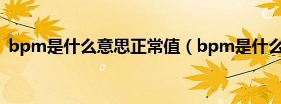 bpm是什么意思正常值（bpm是什么意思）