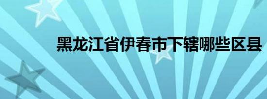黑龙江省伊春市下辖哪些区县