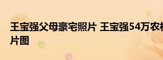 王宝强父母豪宅照片 王宝强54万农村豪宅照片图
