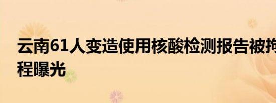 云南61人变造使用核酸检测报告被拘 案情全程曝光