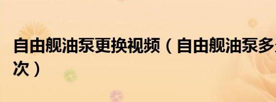 自由舰油泵更换视频（自由舰油泵多久更换一次）