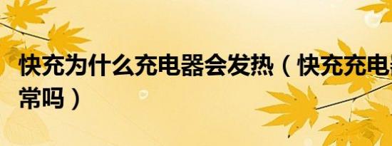 快充为什么充电器会发热（快充充电器发热正常吗）