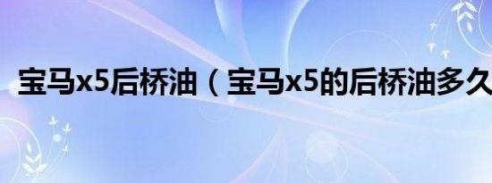 宝马x5后桥油（宝马x5的后桥油多久更换）