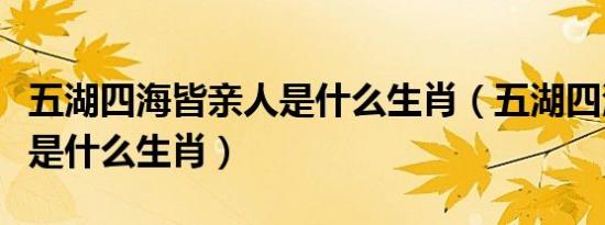五湖四海皆亲人是什么生肖（五湖四海同大地是什么生肖）