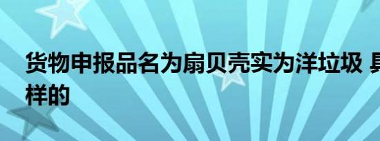 货物申报品名为扇贝壳实为洋垃圾 具体是怎样的