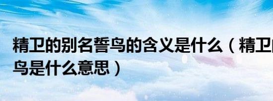 精卫的别名誓鸟的含义是什么（精卫的别名誓鸟是什么意思）