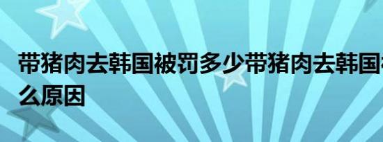 带猪肉去韩国被罚多少带猪肉去韩国被罚是什么原因