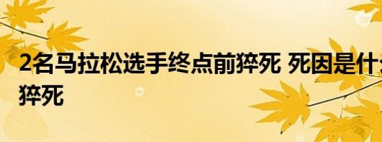2名马拉松选手终点前猝死 死因是什么为什么猝死